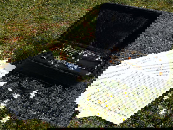 Lekkere Track: Klarinetten in overvloed