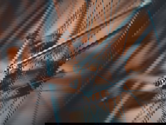 Lekkere Track: Fietsen