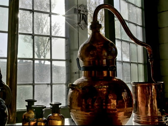 Museumtip: 'Constantijn Huygens. Geuren en Beelden' van Huygens' Hofwijck