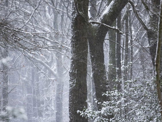 De Jaargetijden: De stilte