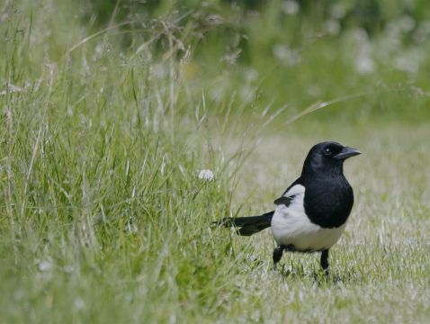 De debutant: Rashel van der Schaaf
