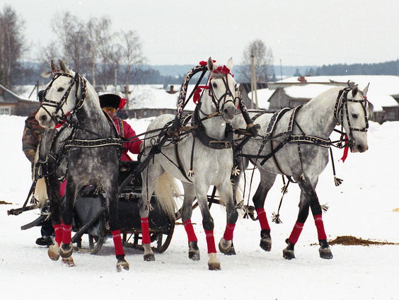 Kettingreactie 31 oktober 2023