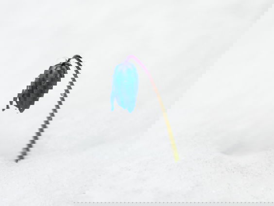 Lekkere Track: Maart roert z'n staart