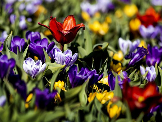 Margriet leest: 'Nakende Lente' van Jana Beranova