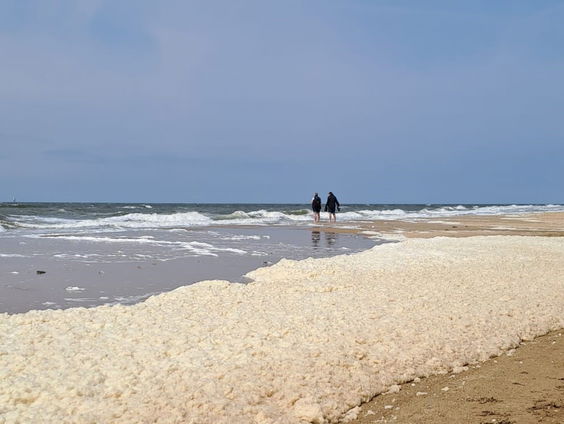 De Jaargetijden: Zeeschuim