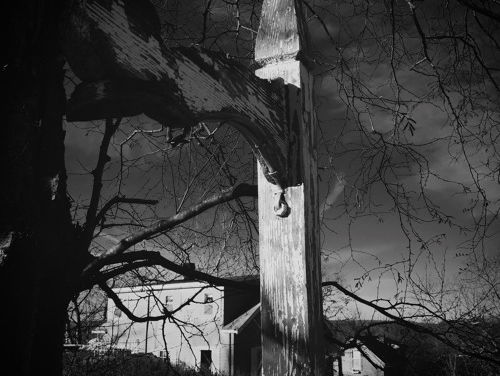 Hollandse Nieuwe! Winterreise van Wilmering & Boertien, deel IV: Der Wegweiser