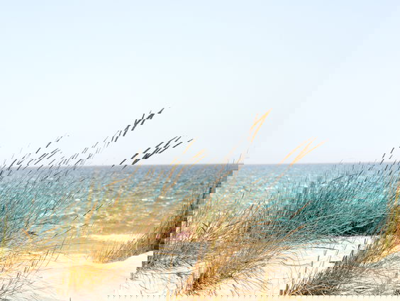 Lekkere Track: Terschelling