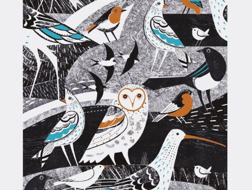 Boek van de Week: '12 vogels die je leven redden'