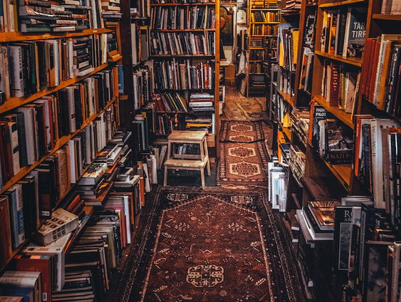 De dromenvanger, nr. 184: Boeken