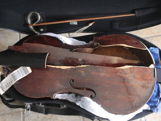 Hollandse Nieuwe! Thesauri inventio, van Antoinette Lohmann, deel IV: Viola da Gamba