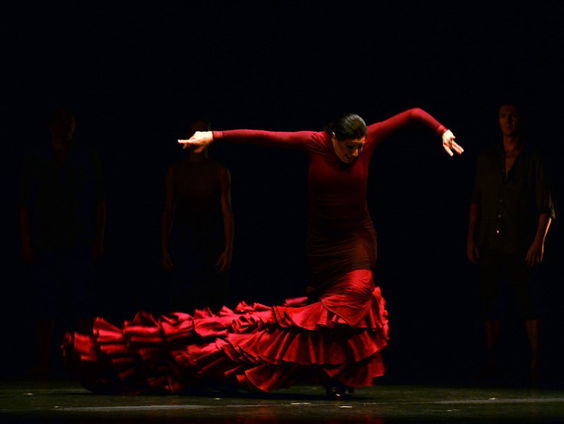 Ernestina van de Noort over de Flamenco Biënnale