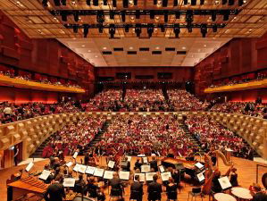 De dromenvanger, nr. 316: De Doelen