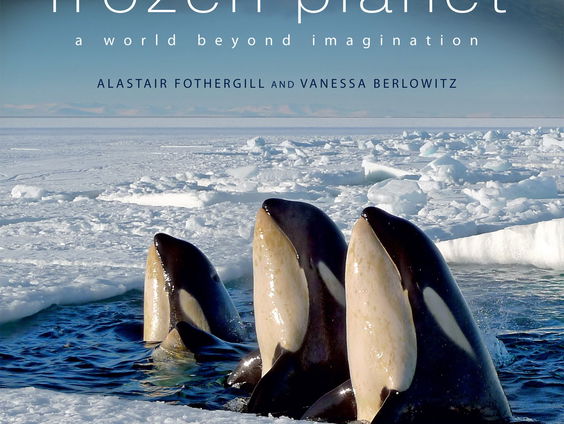 Maatwerk Media Moment #119: Frozen Planet