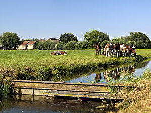 De dromenvanger, nr. 408: Grondbedrijf