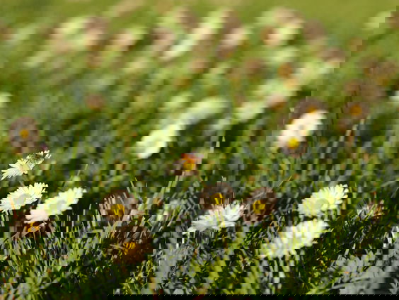 Mooi Moment: Genieten & verheugen