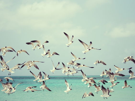 Kettingreactie 27 april 2023