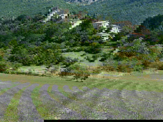 RadioReisDienst: Naar de Provence