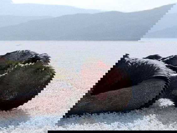 Filmtip - Beau Travail