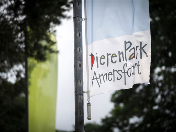 Dierenpark Amersfoort viert 75-jarig bestaan