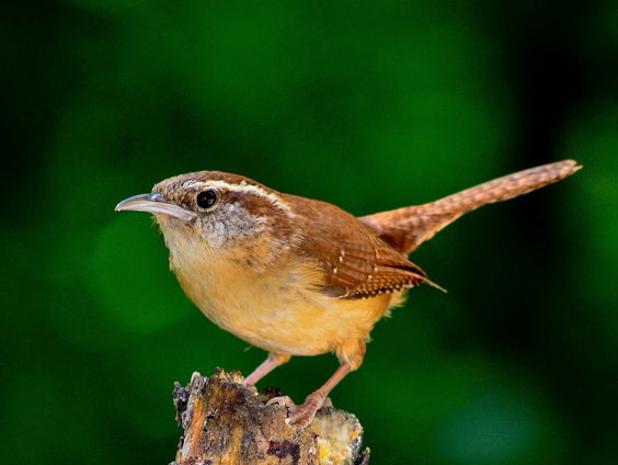 Kettingreactie 16 augustus 2024