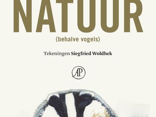 Het gesprek - Koos van Zomeren