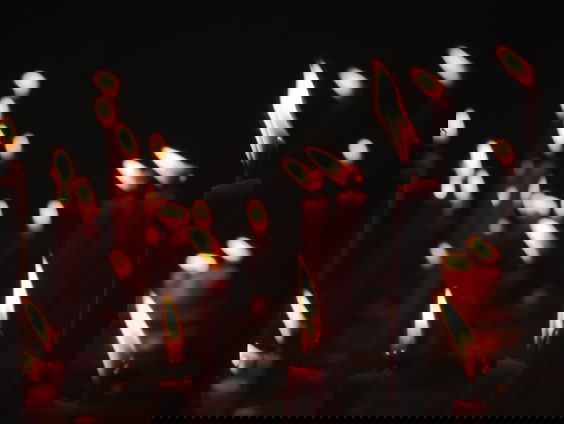 Lekkere Track: Vertragen, verstillen, herdenken