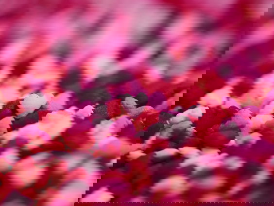 Lekkere Track: Groepsmatch