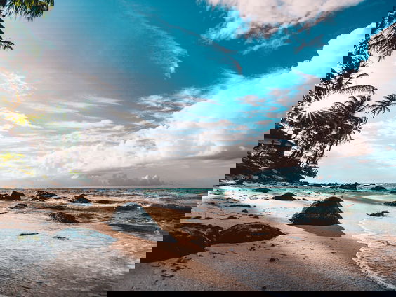 Lekkere Track: Wegdromen