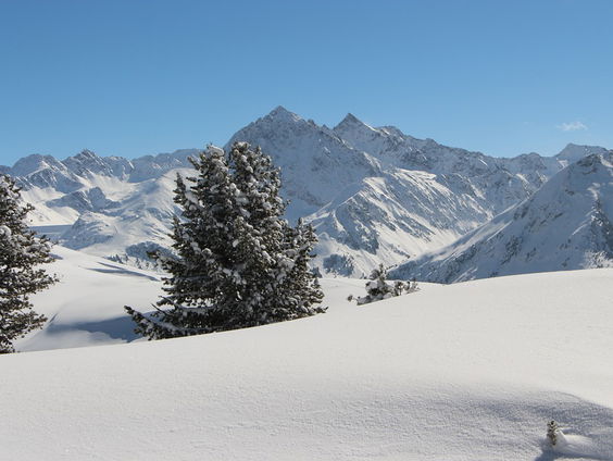 De dromenvanger, nr. 41: Silhouette in de sneeuw