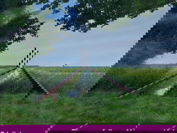 Buitenkunstverkiezing 2022: 'Cityscape follows Manscape’ van Lieke Frielink