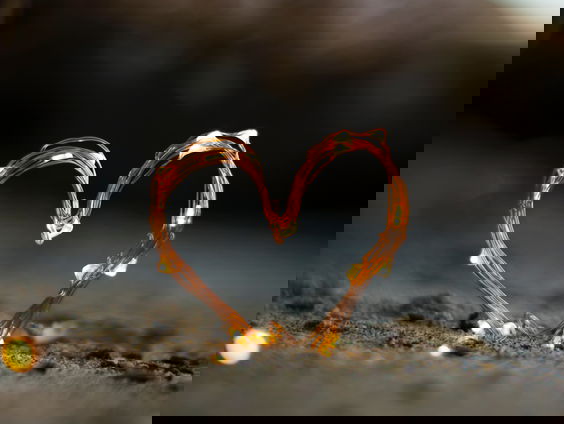 Amy's Schrijf van Vijf