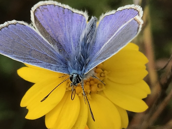 Weekendtips uit Limburg - Jolien Linssen