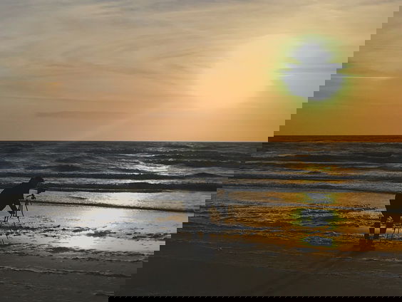 Lekkere Track: Nature on Tour