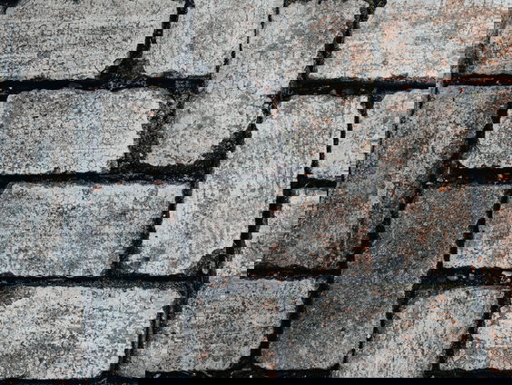 Lekkere Track: Wake the heart