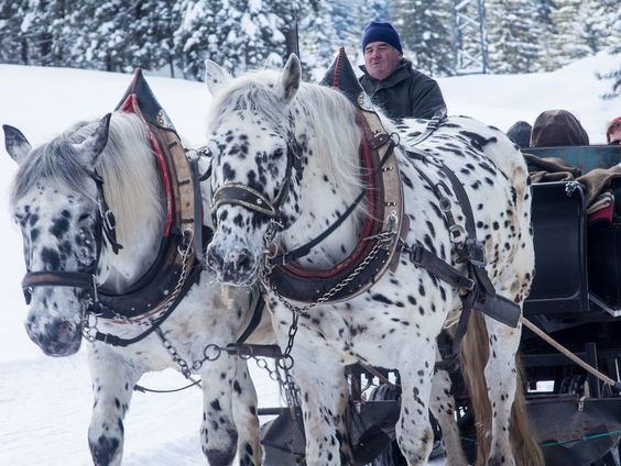Kettingreactie 3 november 2023