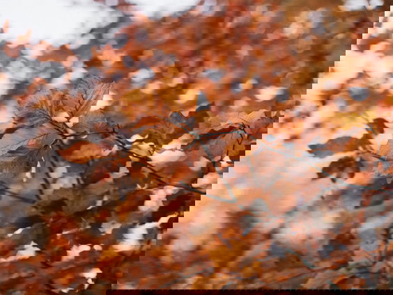 Lekkere Track: De opdringende toekomst