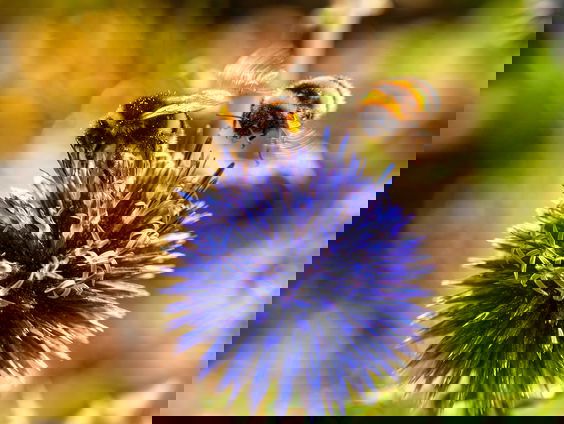 Lekkere Track: De laatste warme zomerdagen