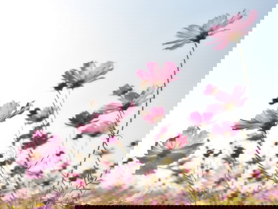 Lekkere Track: Bijna lente?