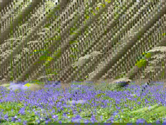 Lekkere Track: Meteorologische lente