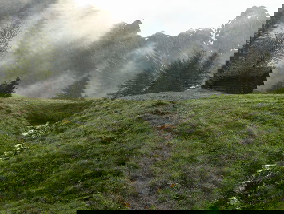 RadioReisDienst: Kabbelend beekje