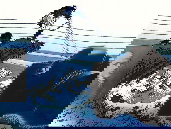 De Bestemming #9: Fuji