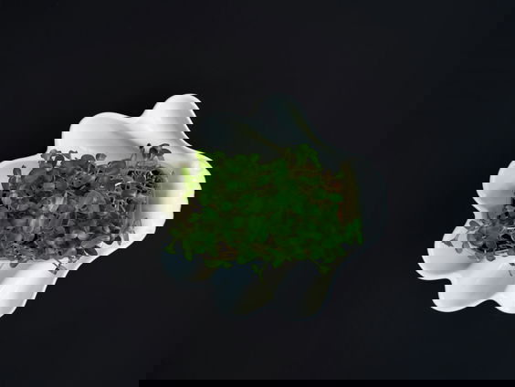 Lekkere Track: Tuinkers