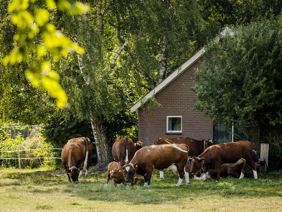 Biologische boeren lezen boerentroonrede voor