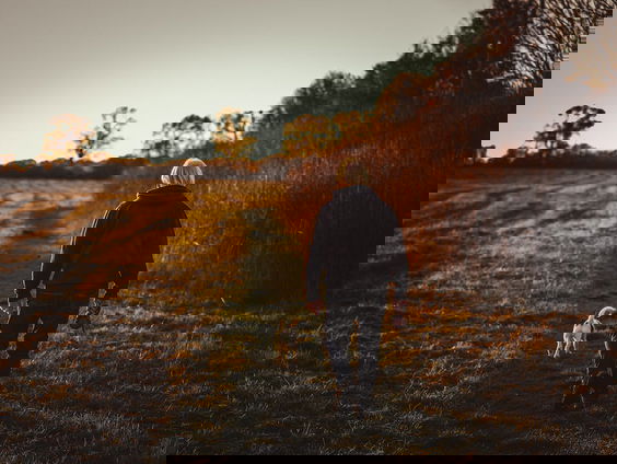 Kettingreactie 20 september 2022