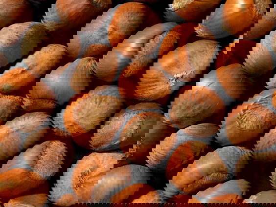 Lekkere Track: Een zee van kastanjes