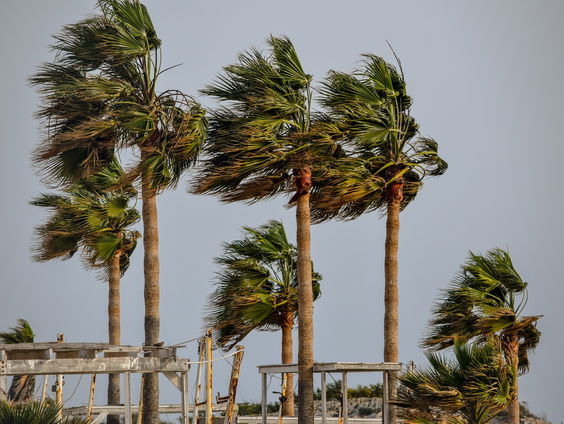 Kettingreactie 12 mei 2023