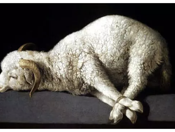 Gedicht: Waar is het lam? van Mustafa Stitou