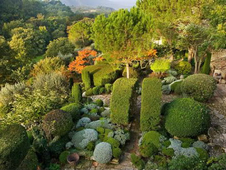 De dromenvanger, nr. 154: "Tuin"