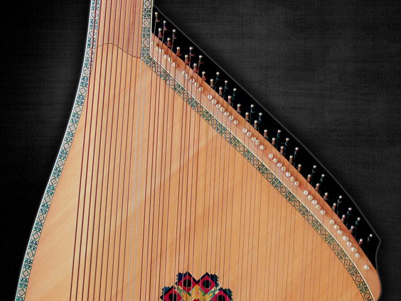 Bandura gezocht voor Oekraïense musicus