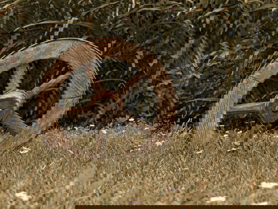 Lekkere Track: Reizen